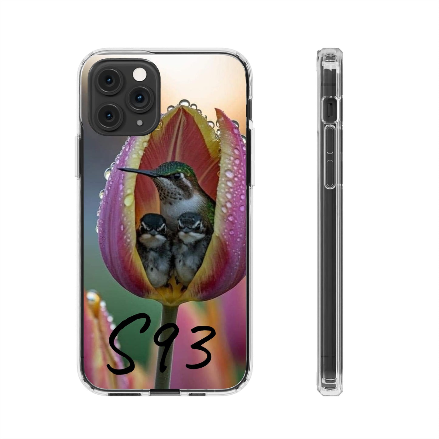 Clear Cases S93