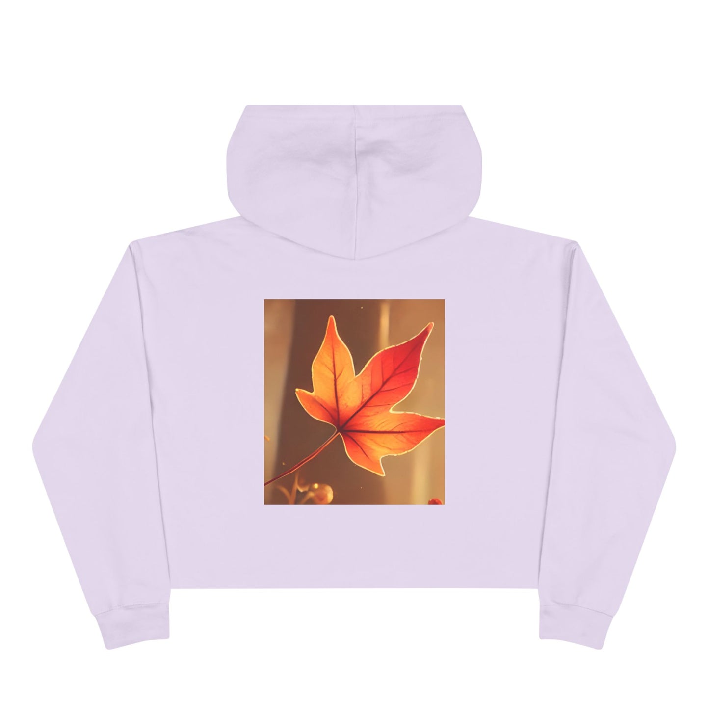 Crop Hoodie S93