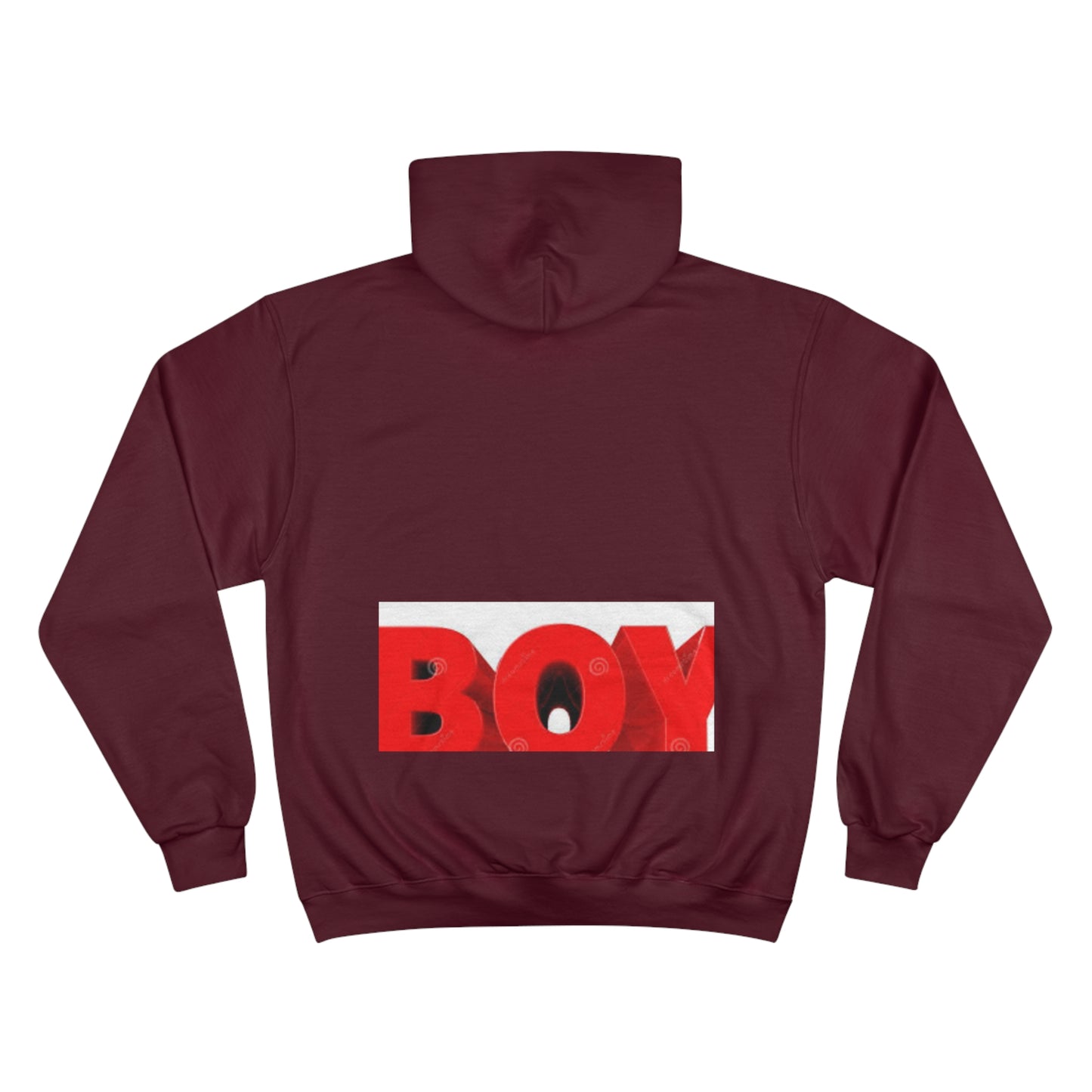 Champion Hoodie s93