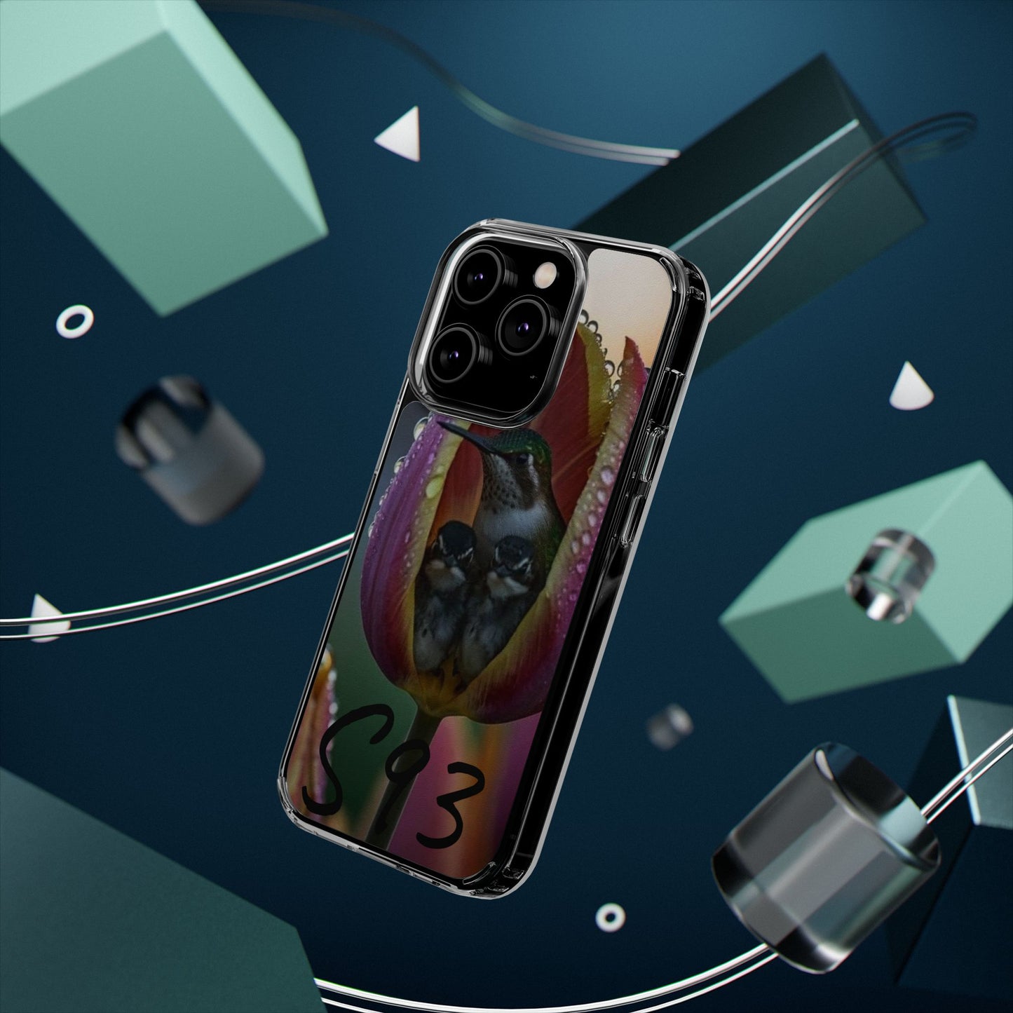 Clear Cases S93