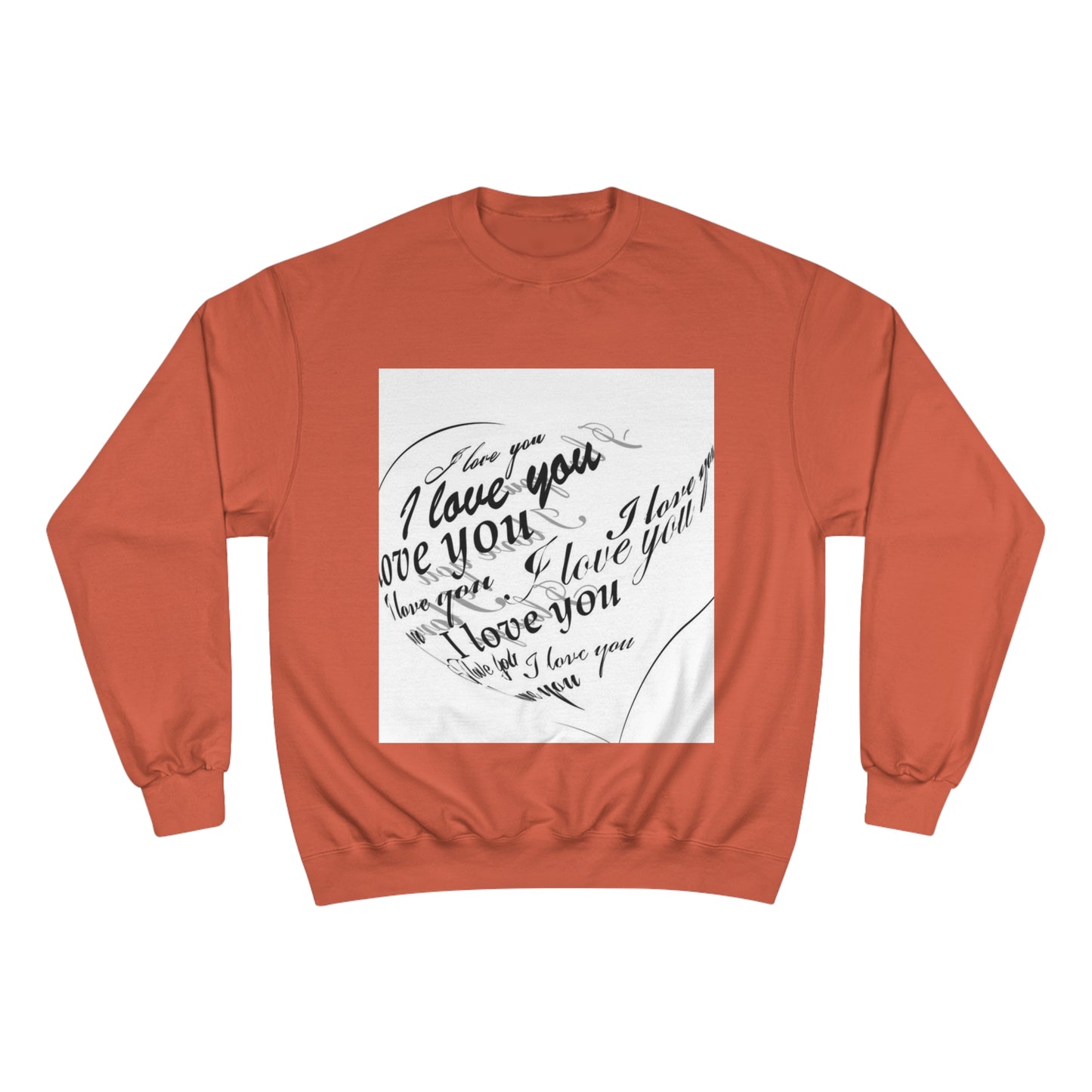 Champion Sweatshirt S93