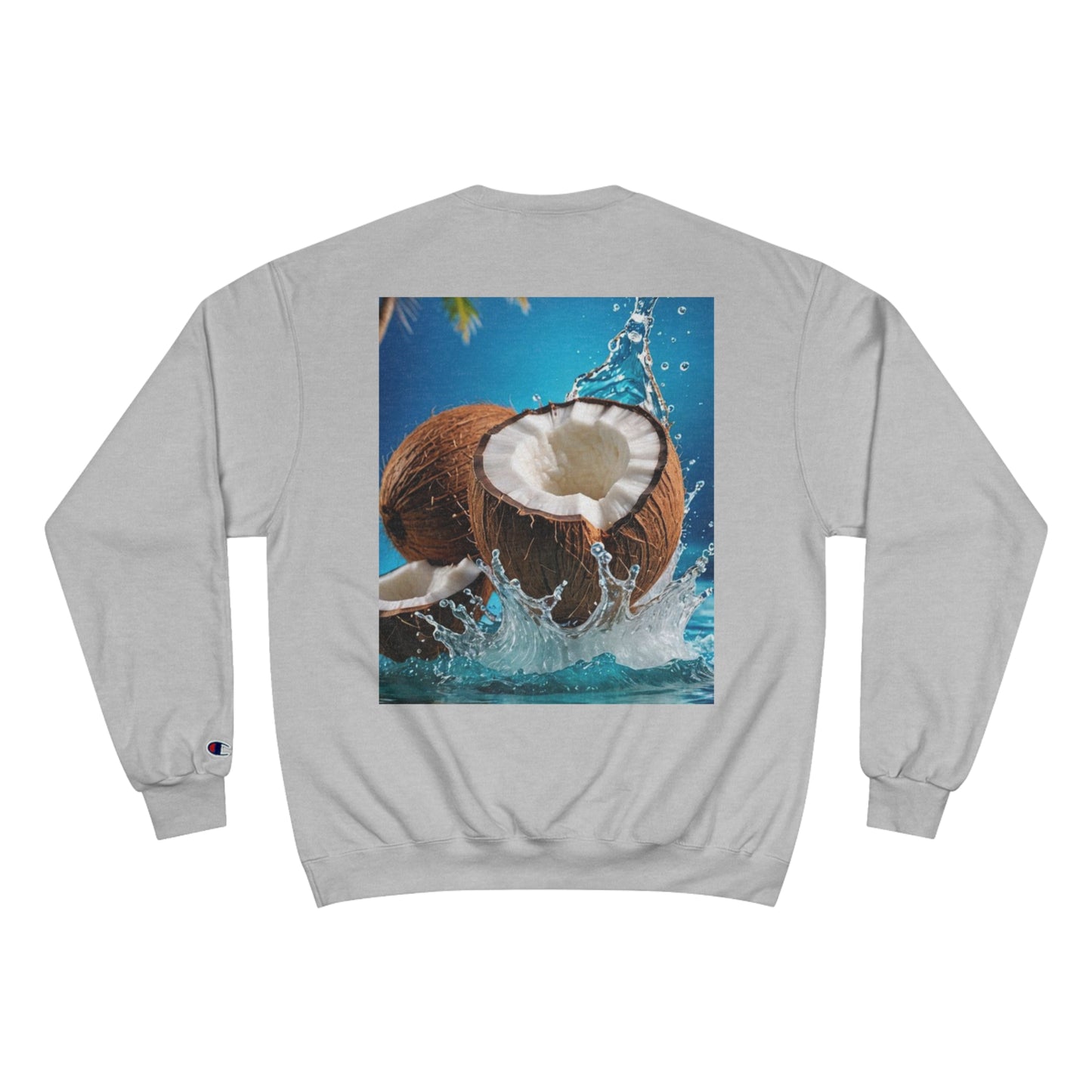 Champion Sweatshirt SUD93