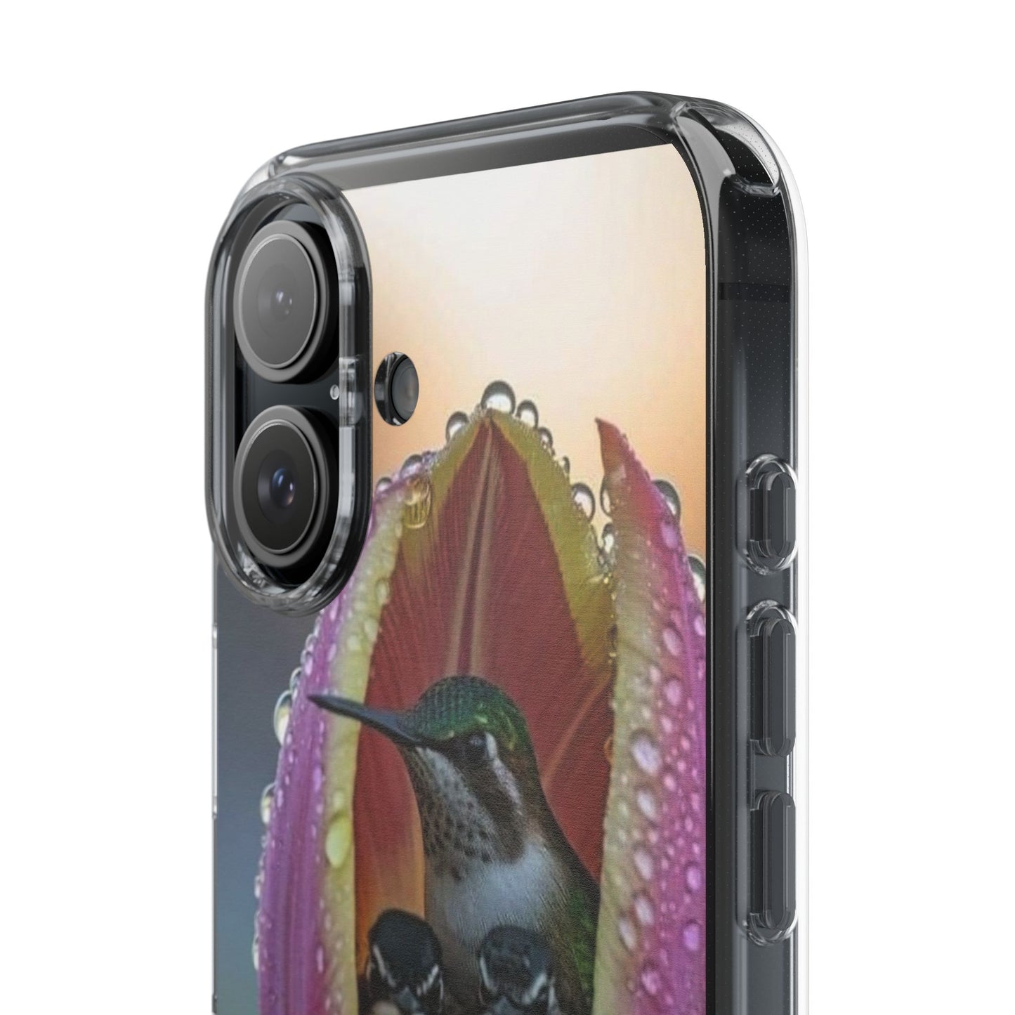 Clear Cases S93