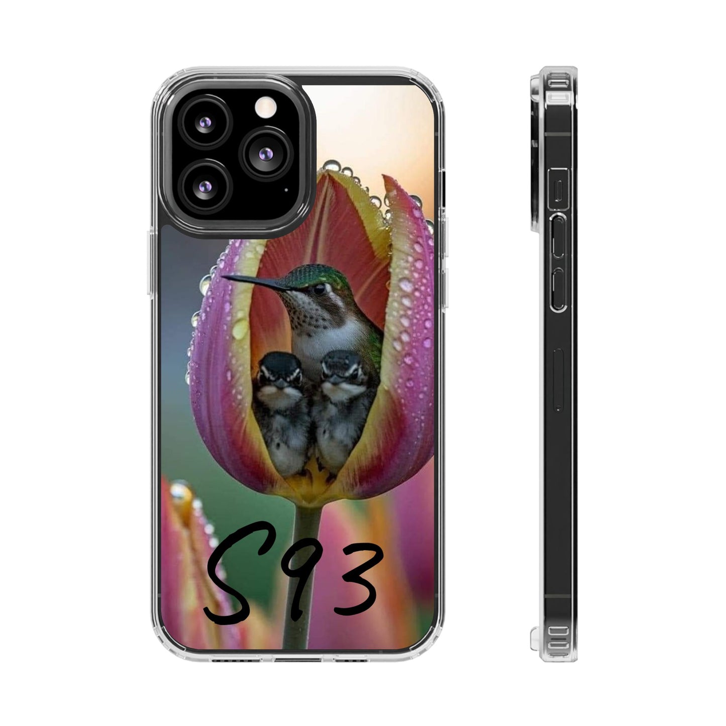 Clear Cases S93