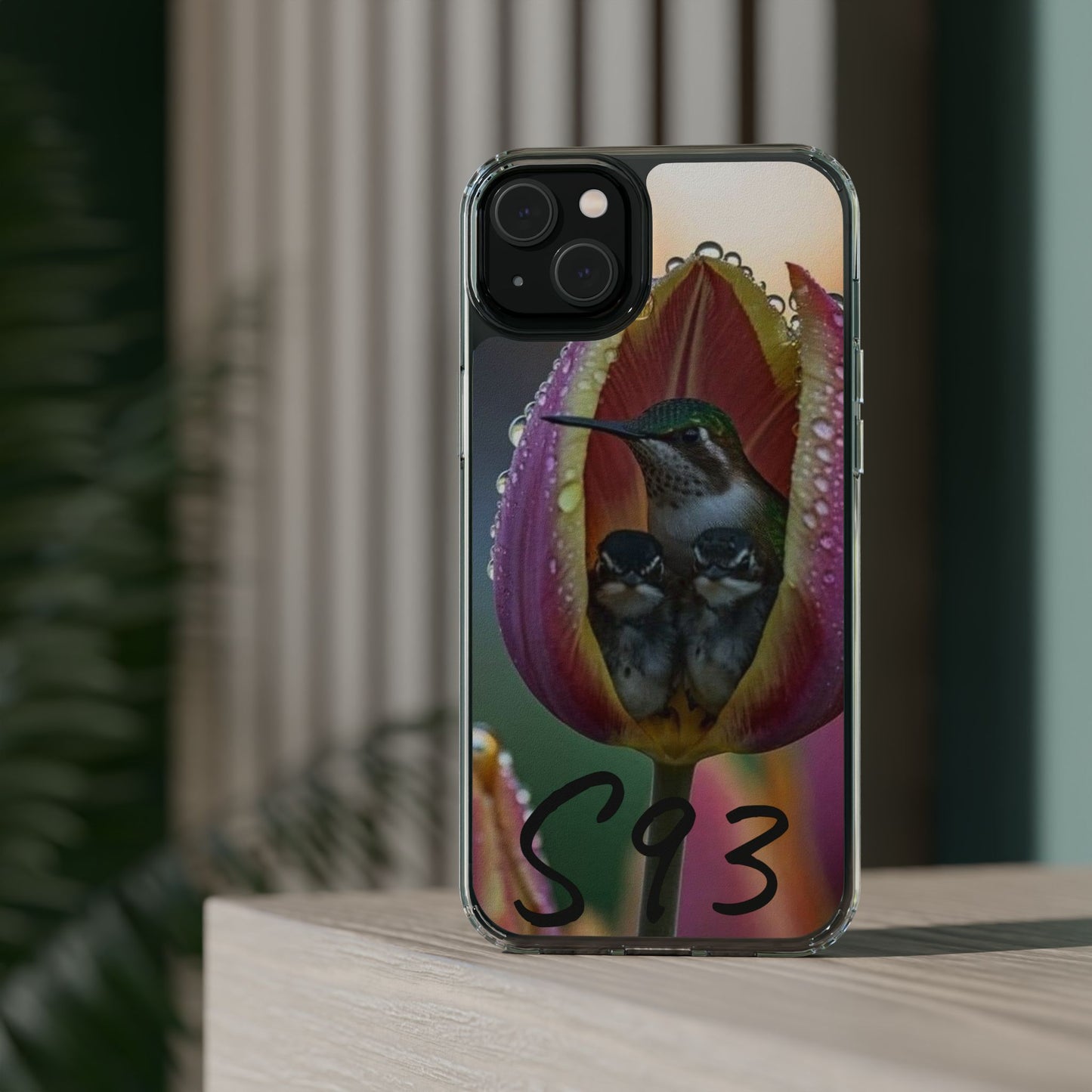 Clear Cases S93
