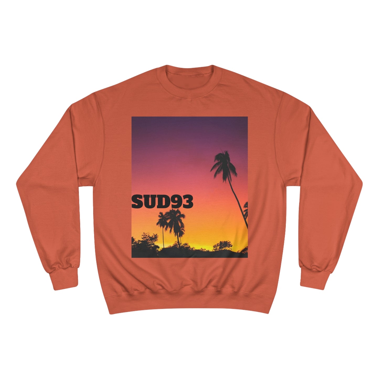 Champion Sweatshirt SUD93