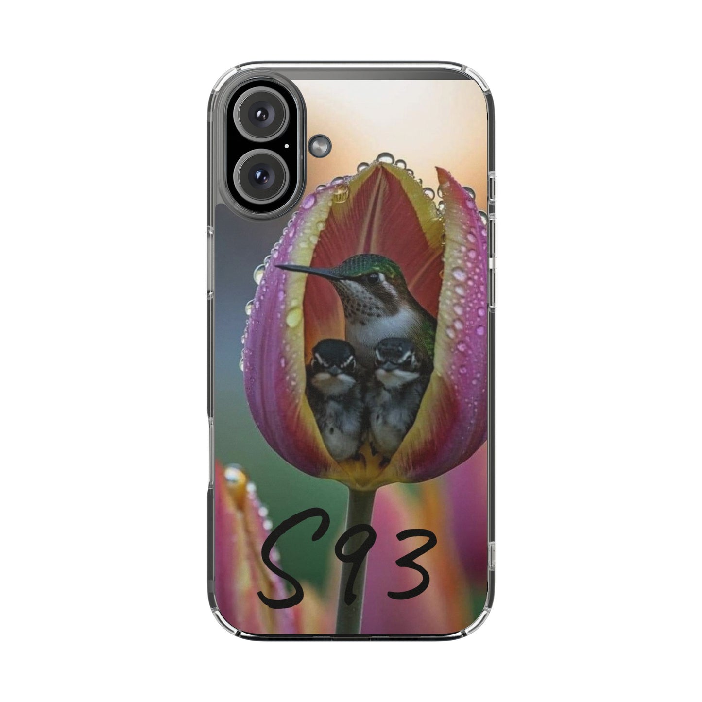 Clear Cases S93