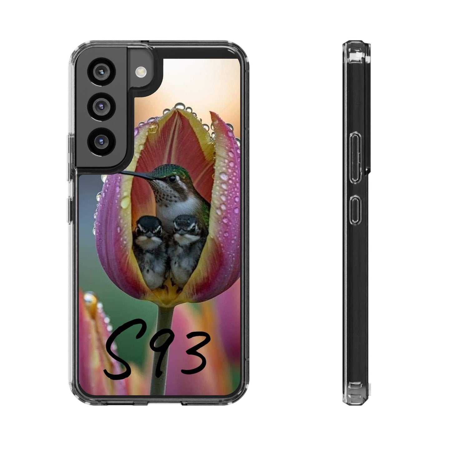 Clear Cases S93