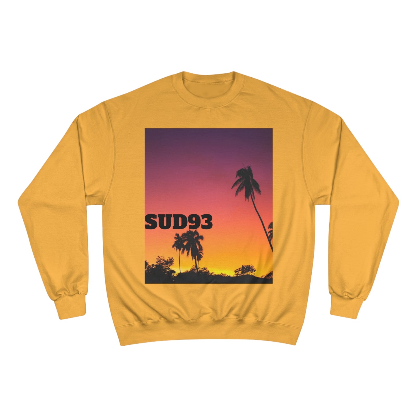 Champion Sweatshirt SUD93