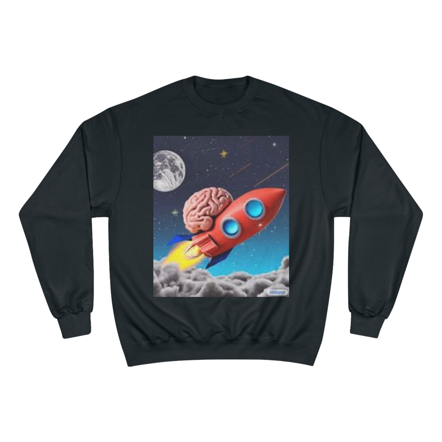 Champion Sweatshirt S93