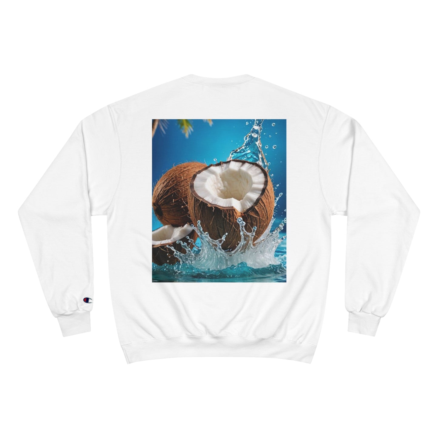 Champion Sweatshirt SUD93