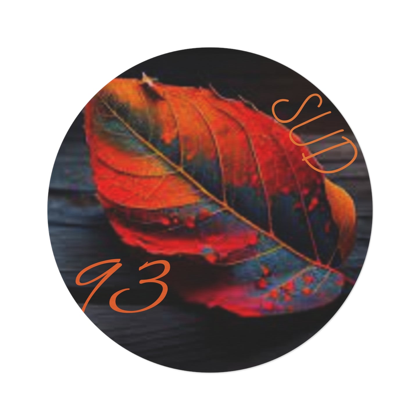 Round Rug S93