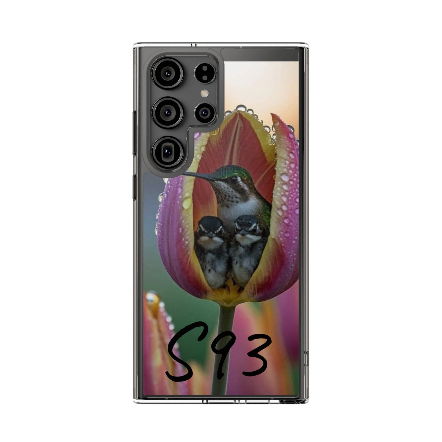Clear Cases S93