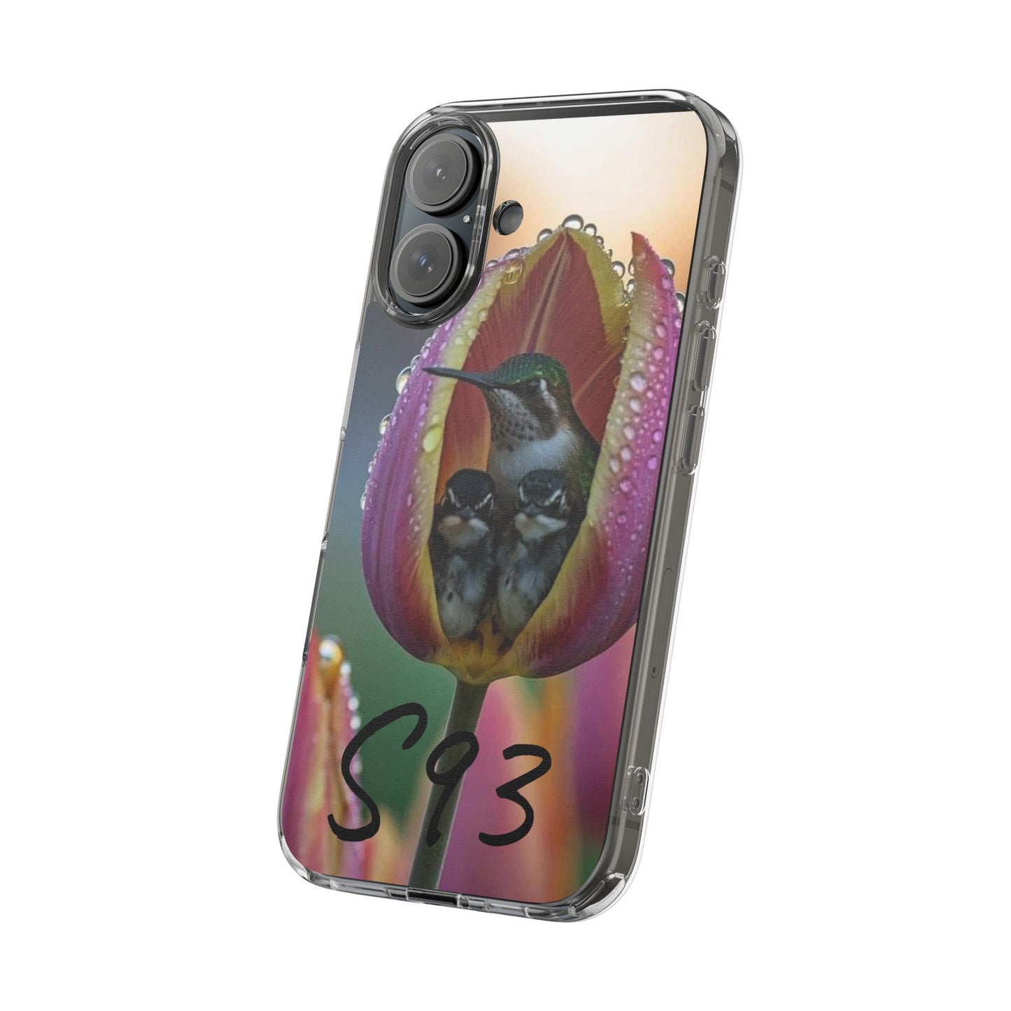 Clear Cases S93