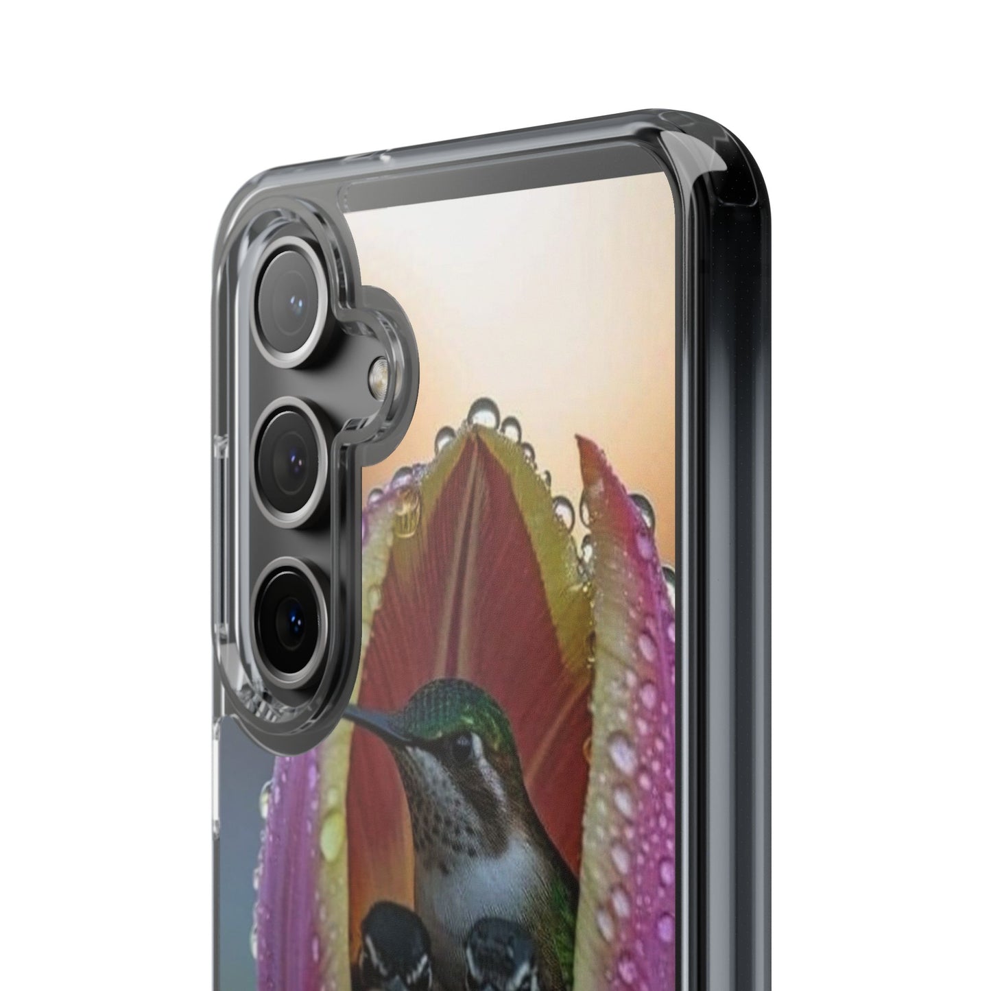 Clear Cases S93