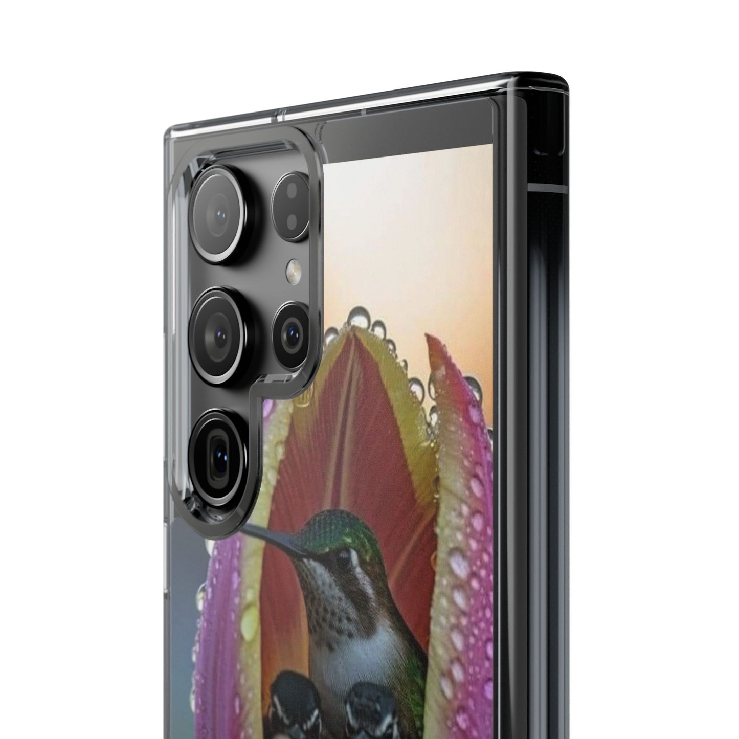 Clear Cases S93