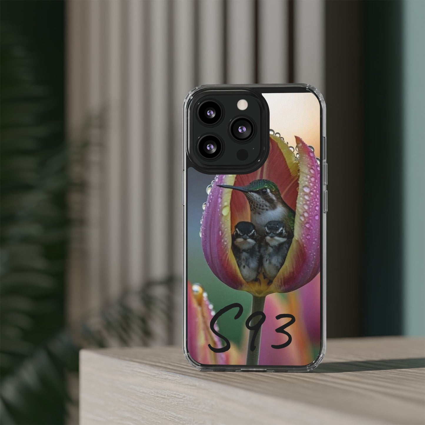 Clear Cases S93