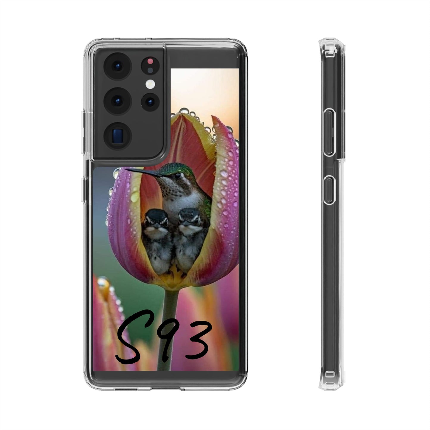 Clear Cases S93