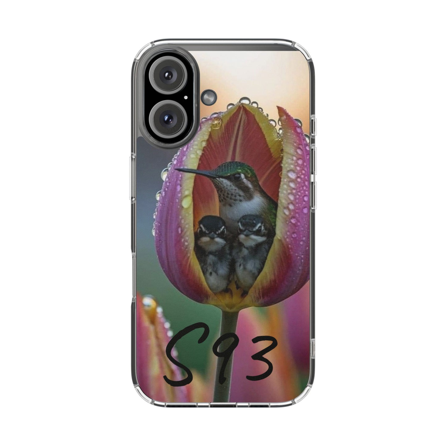 Clear Cases S93