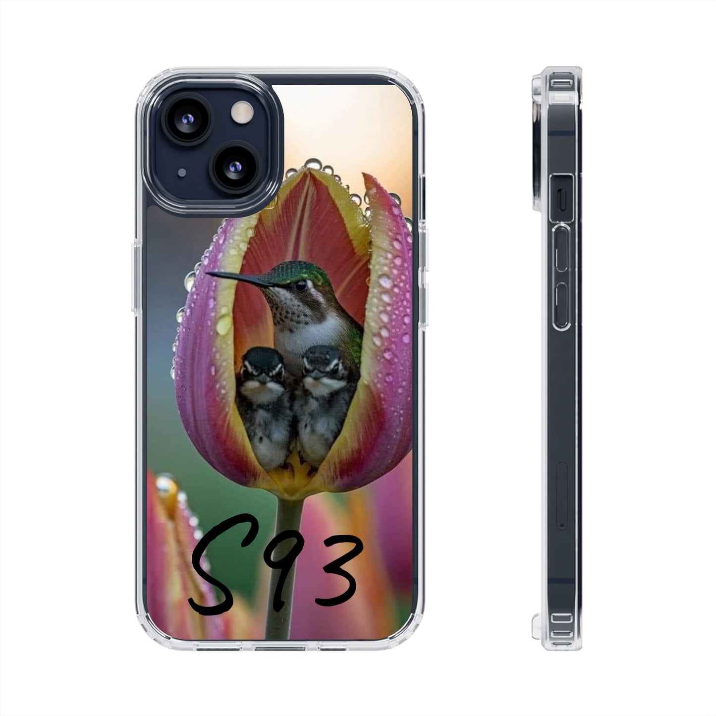 Clear Cases S93