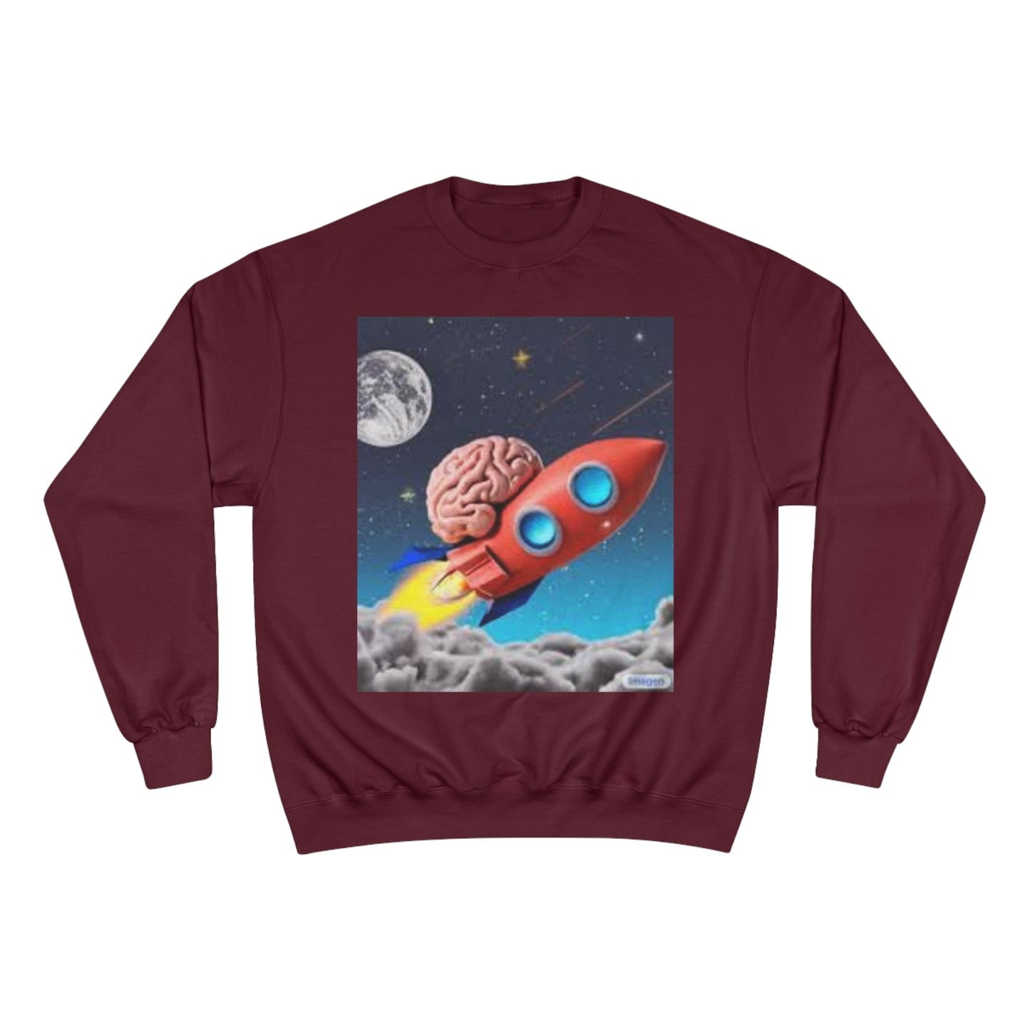 Champion Sweatshirt S93