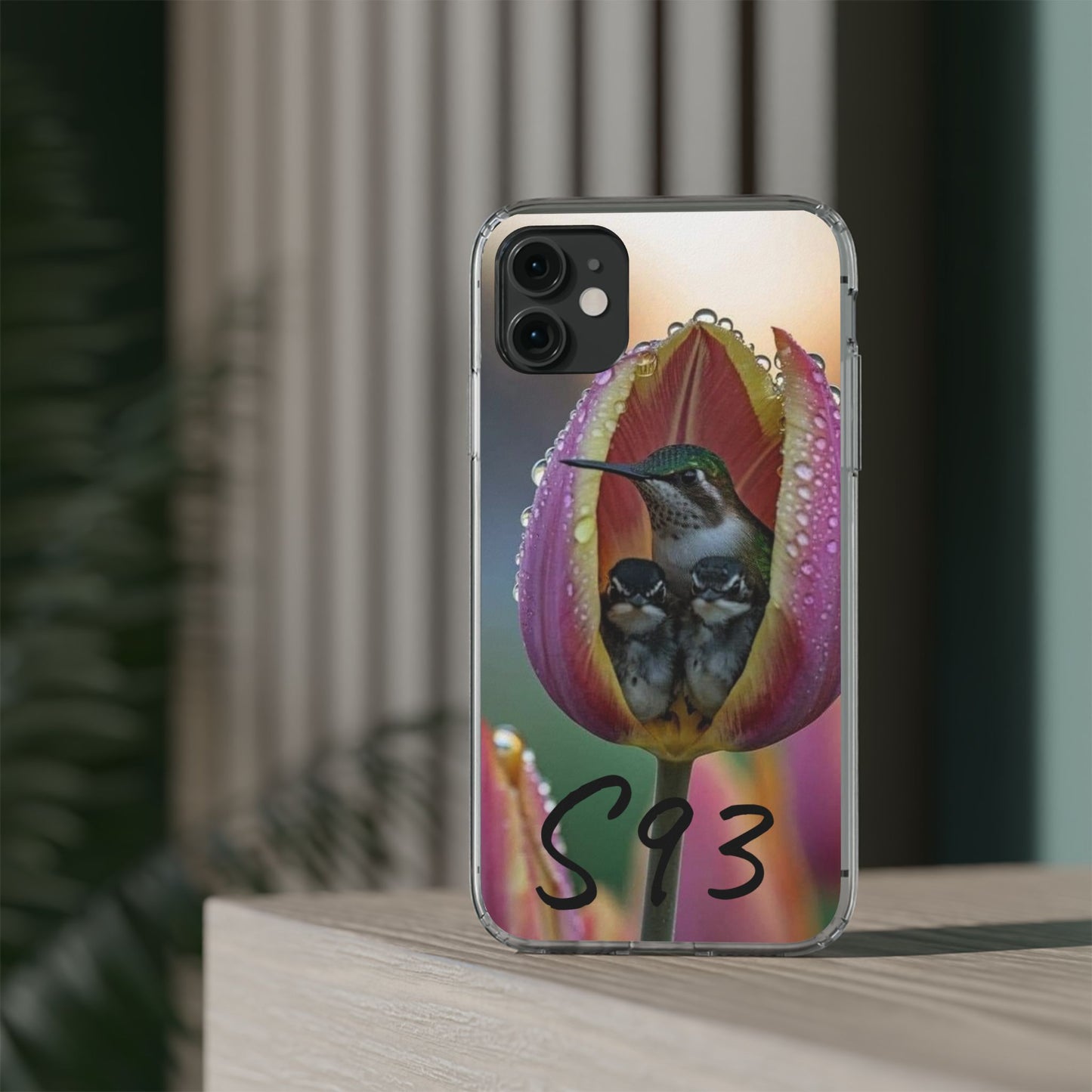 Clear Cases S93