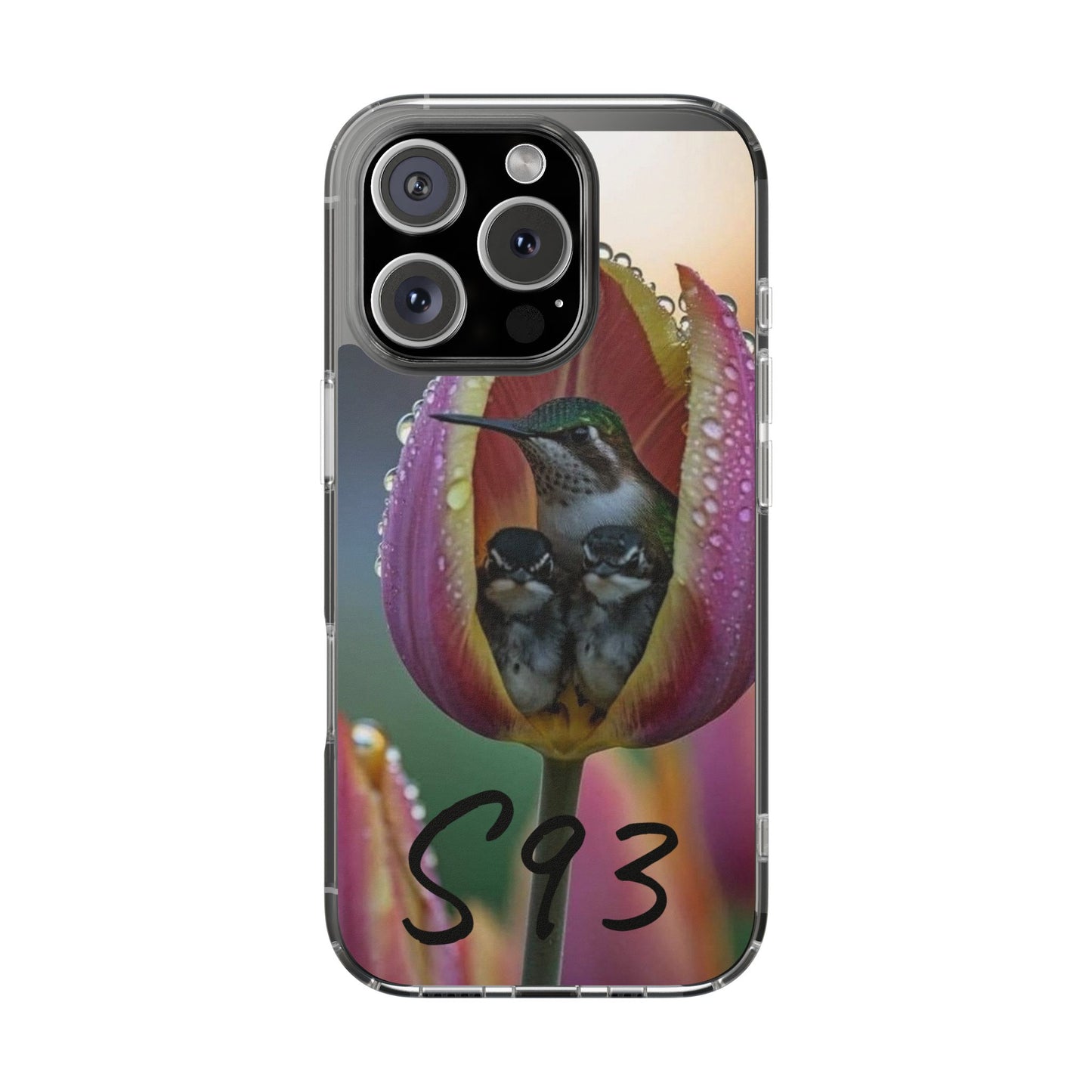 Clear Cases S93
