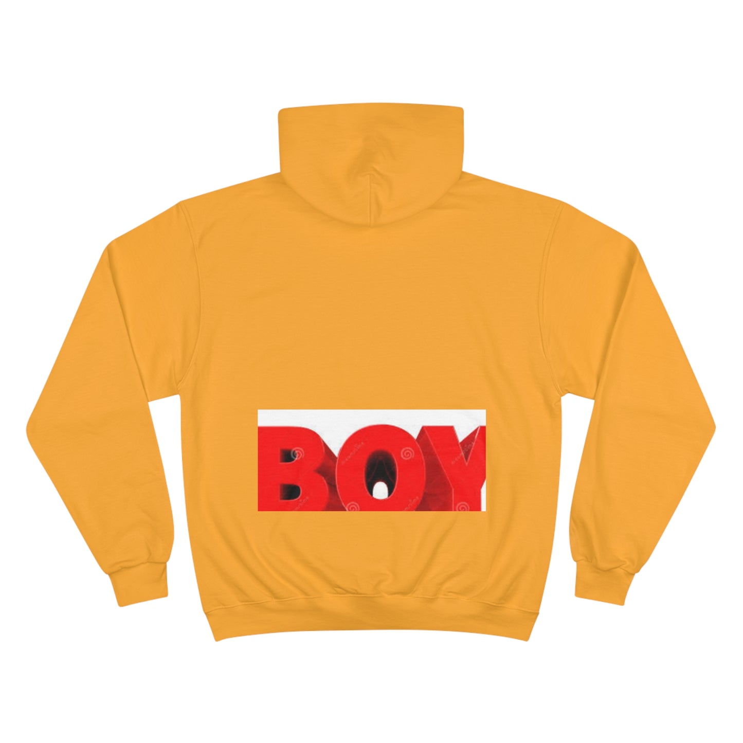 Champion Hoodie s93