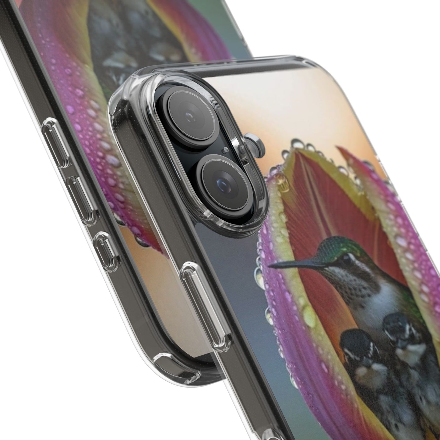 Clear Cases S93