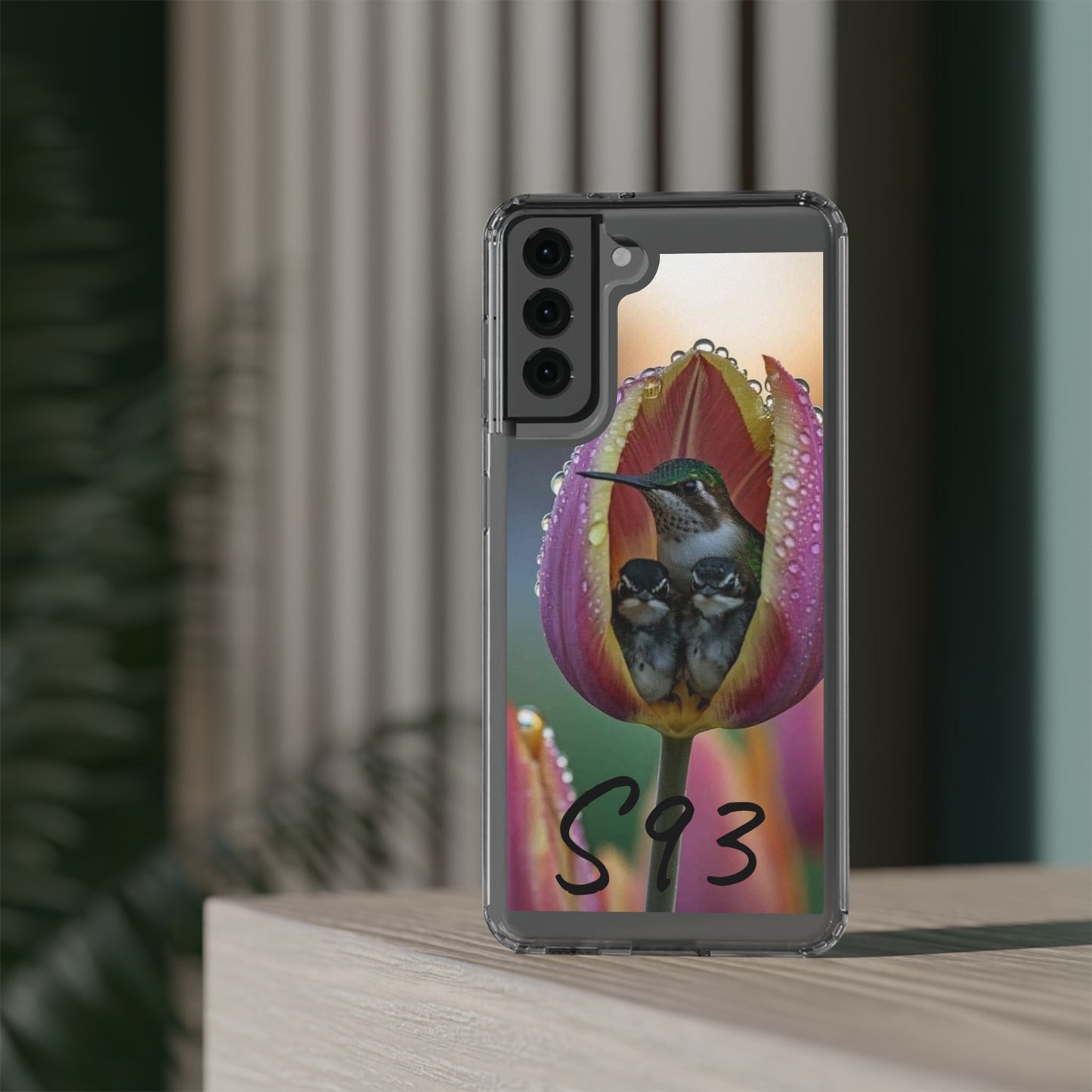 Clear Cases S93