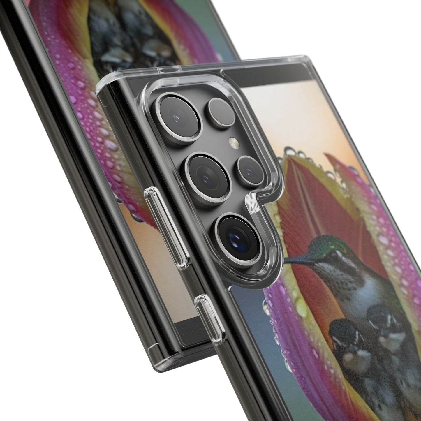 Clear Cases S93