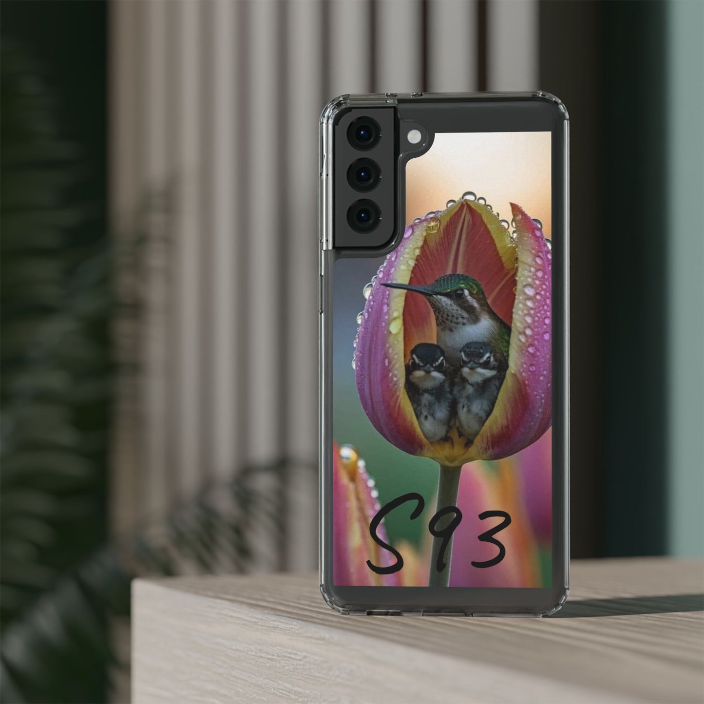 Clear Cases S93