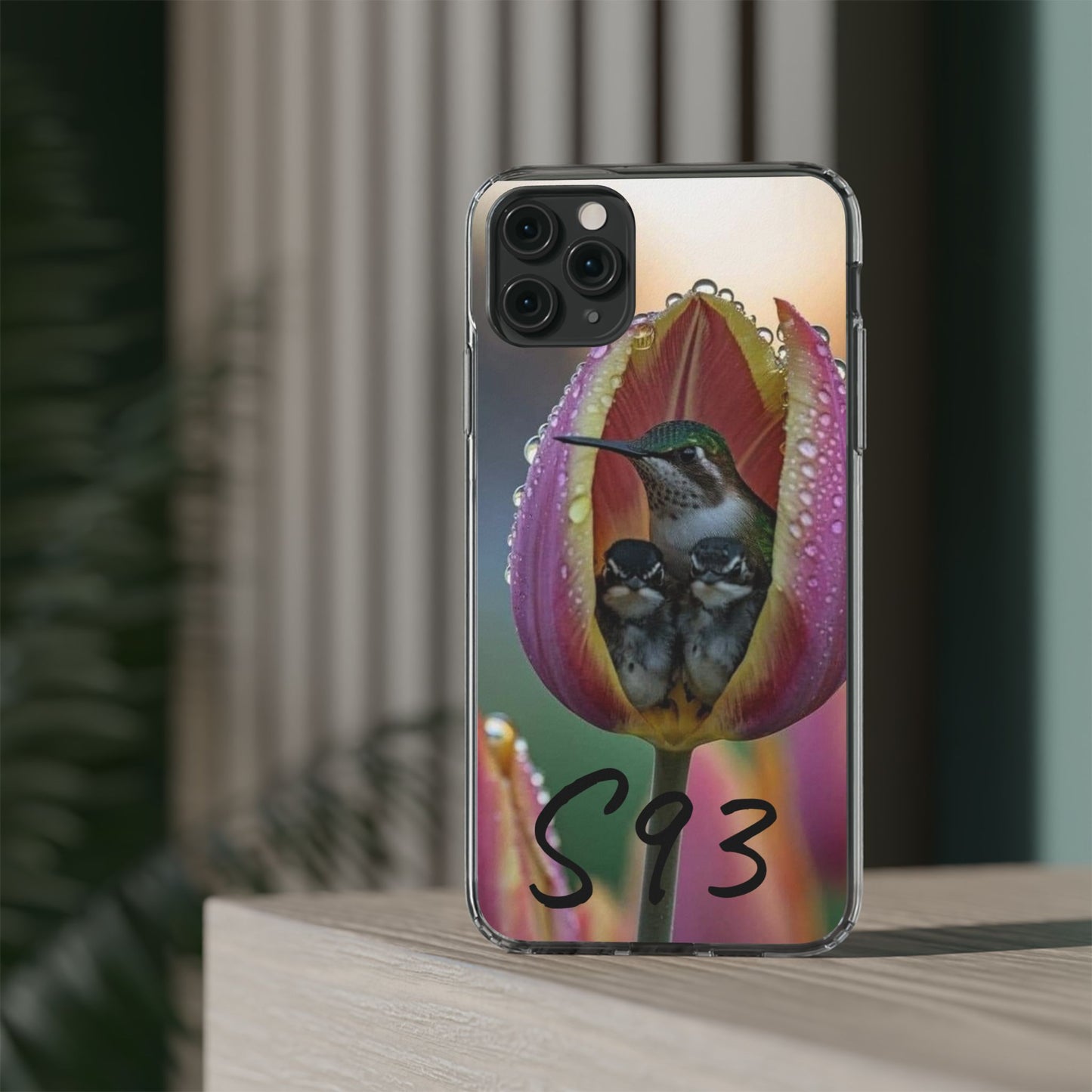 Clear Cases S93