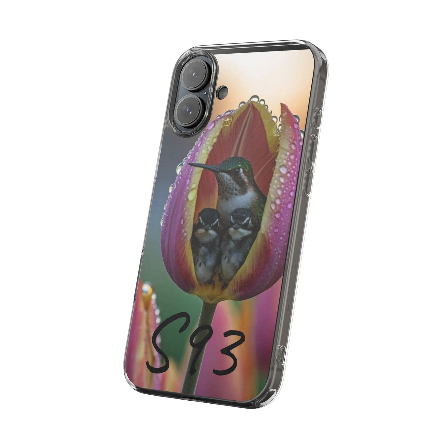 Clear Cases S93