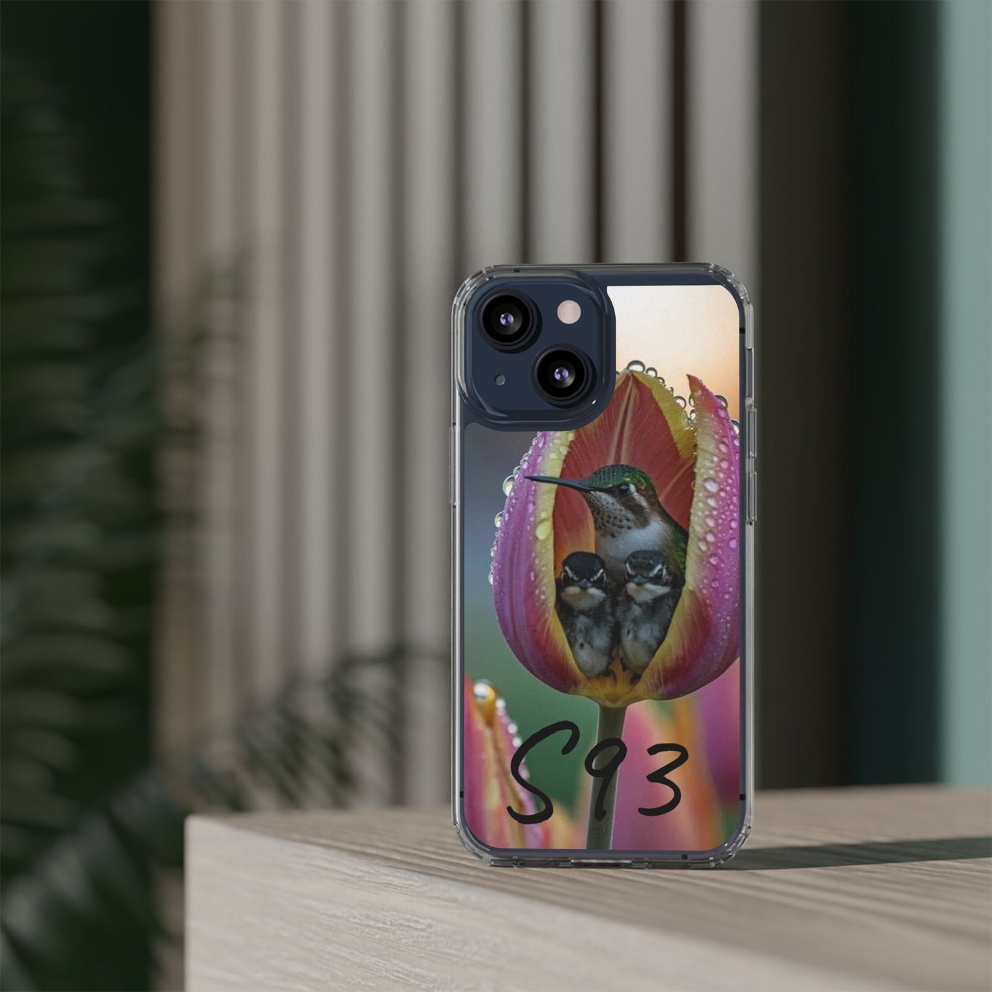 Clear Cases S93