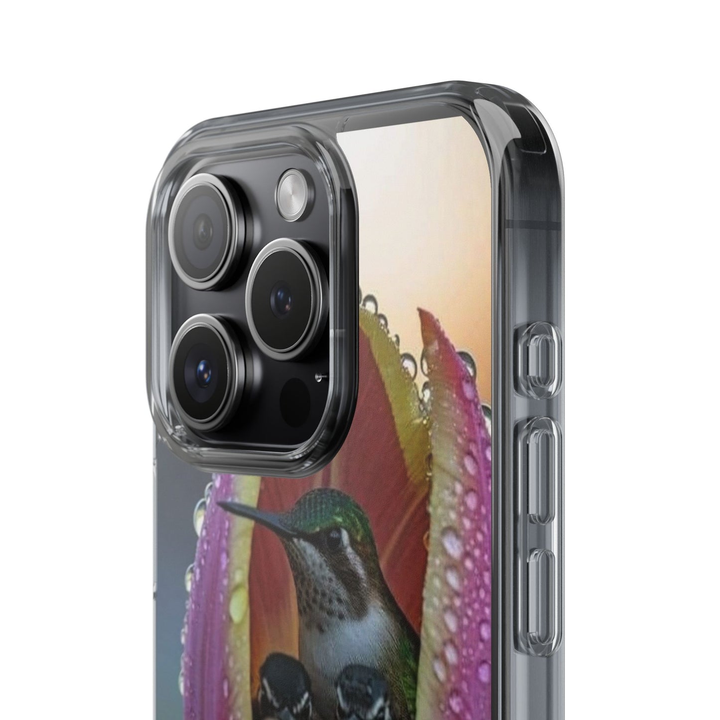Clear Cases S93