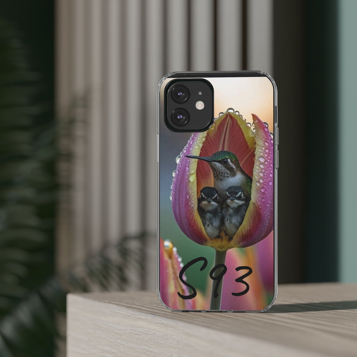 Clear Cases S93