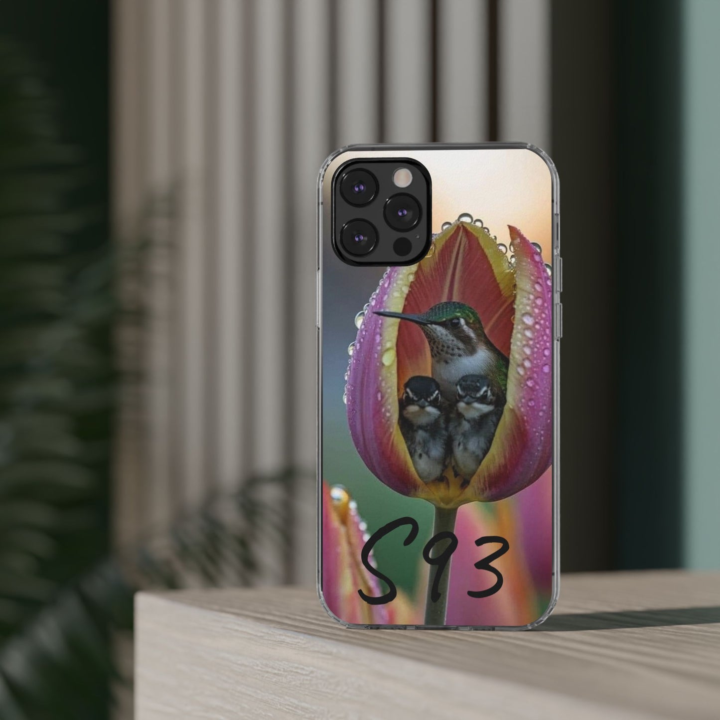 Clear Cases S93