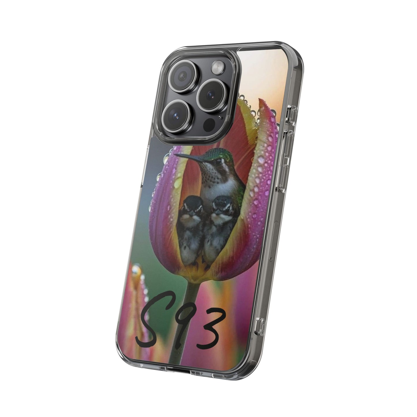 Clear Cases S93