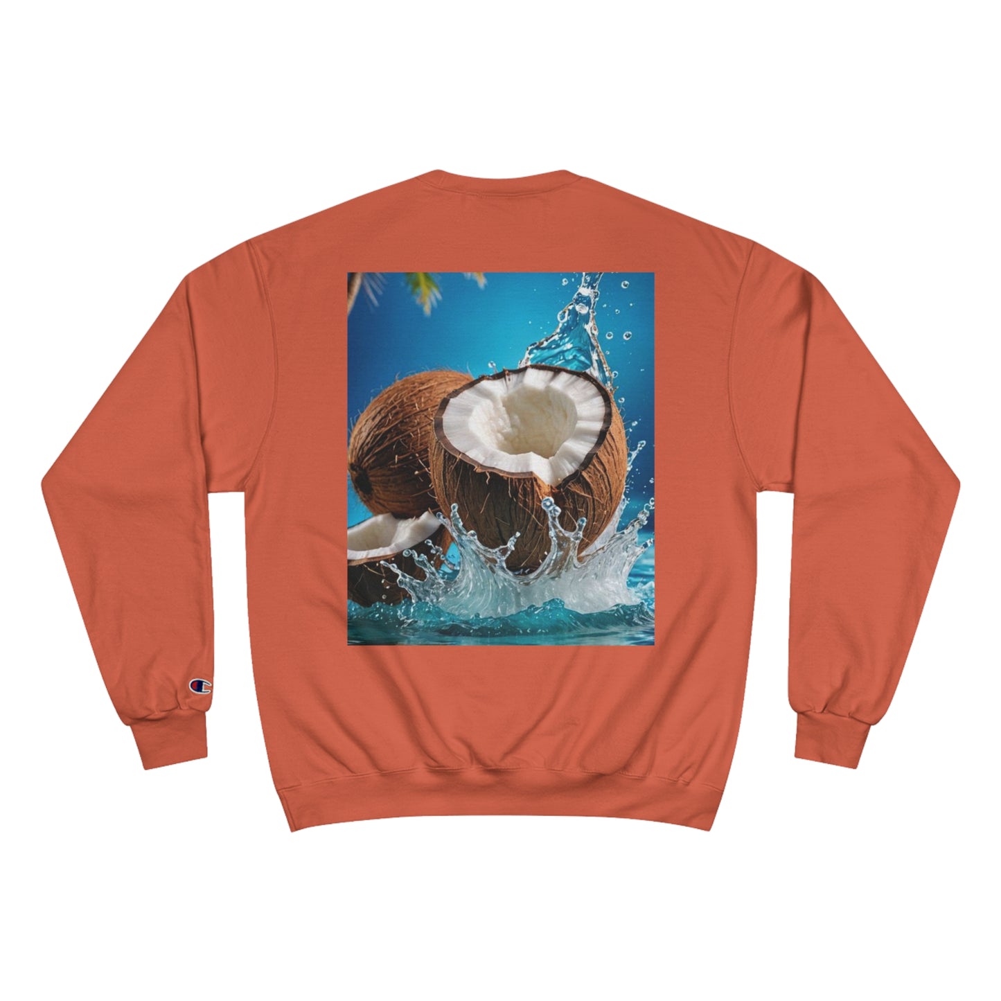 Champion Sweatshirt SUD93