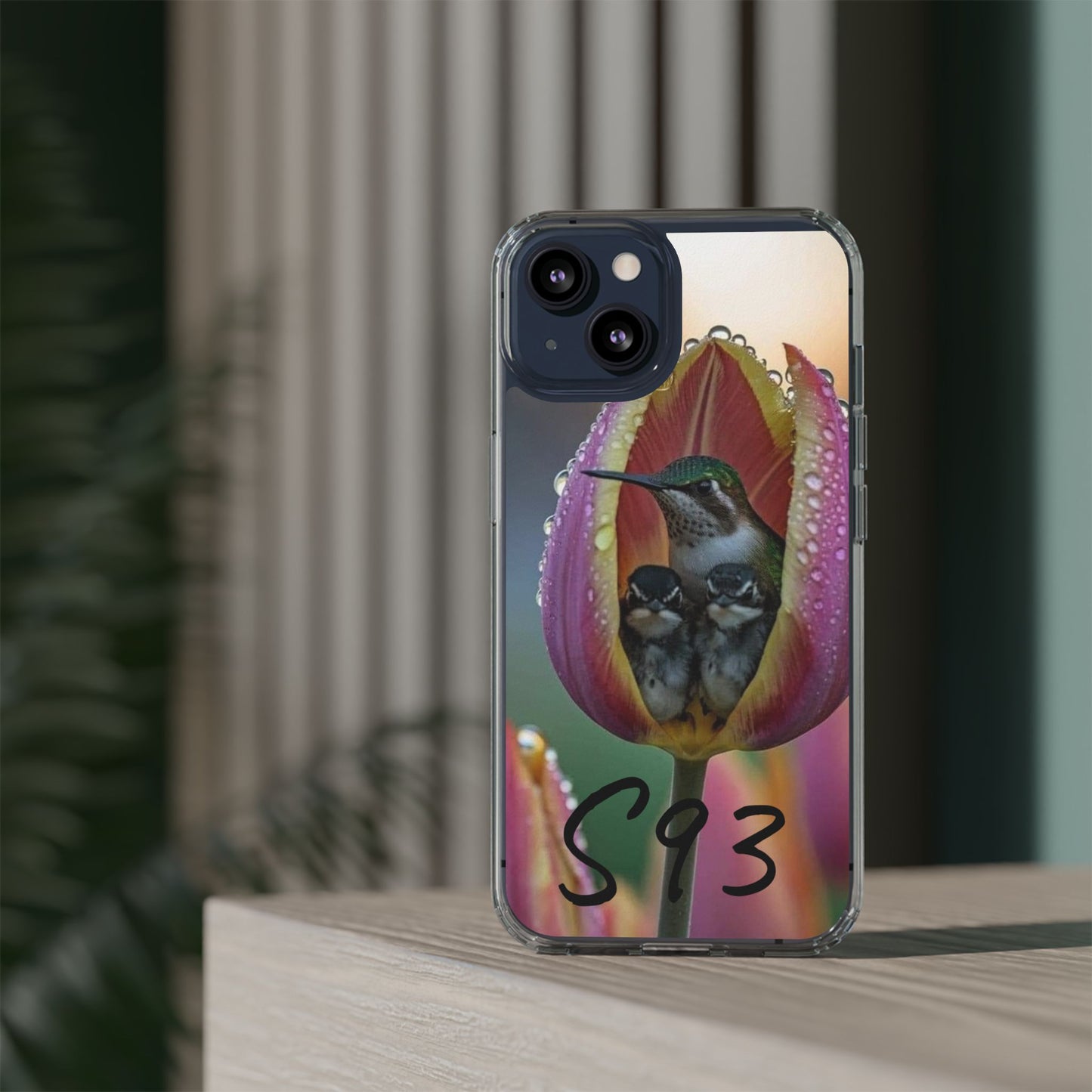 Clear Cases S93