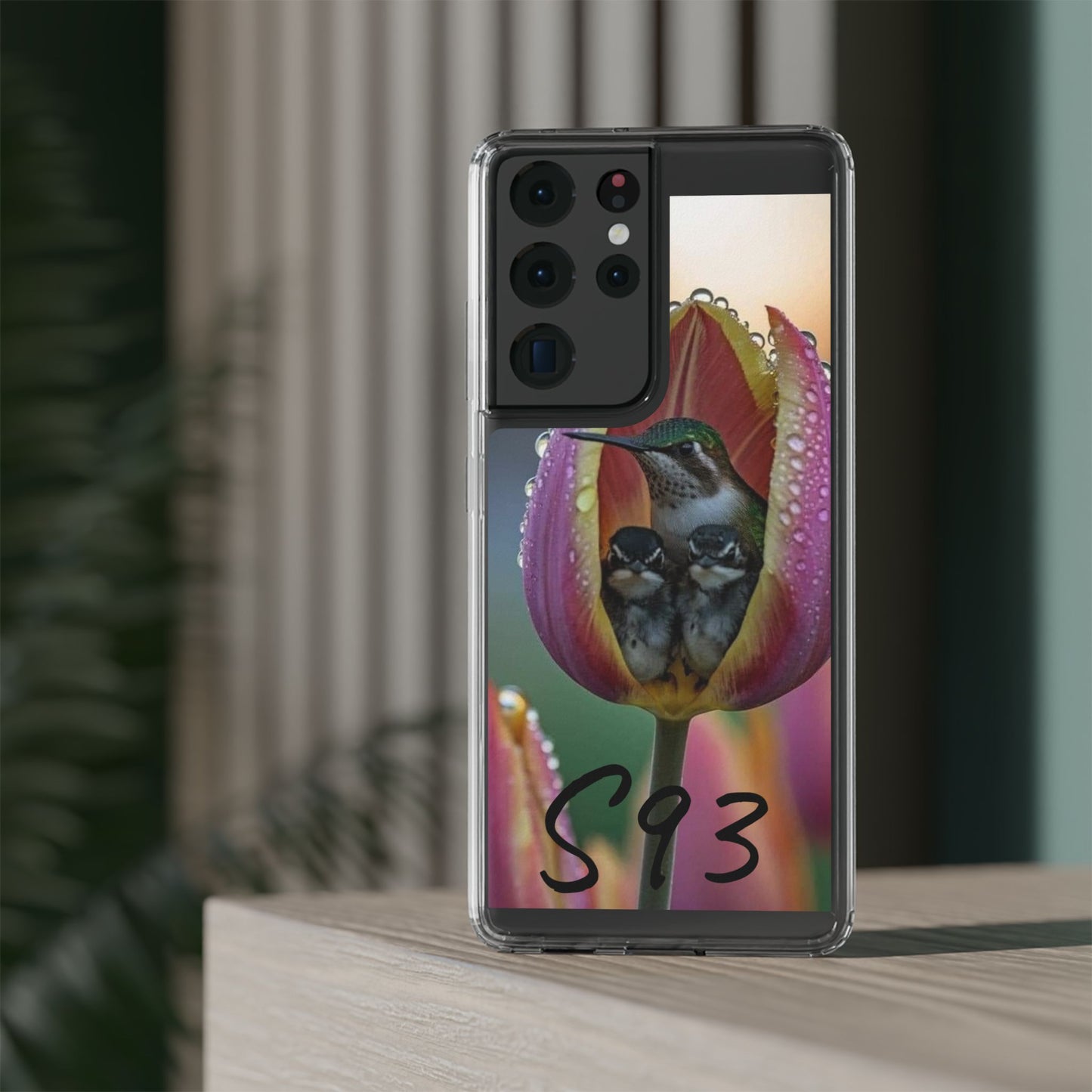 Clear Cases S93