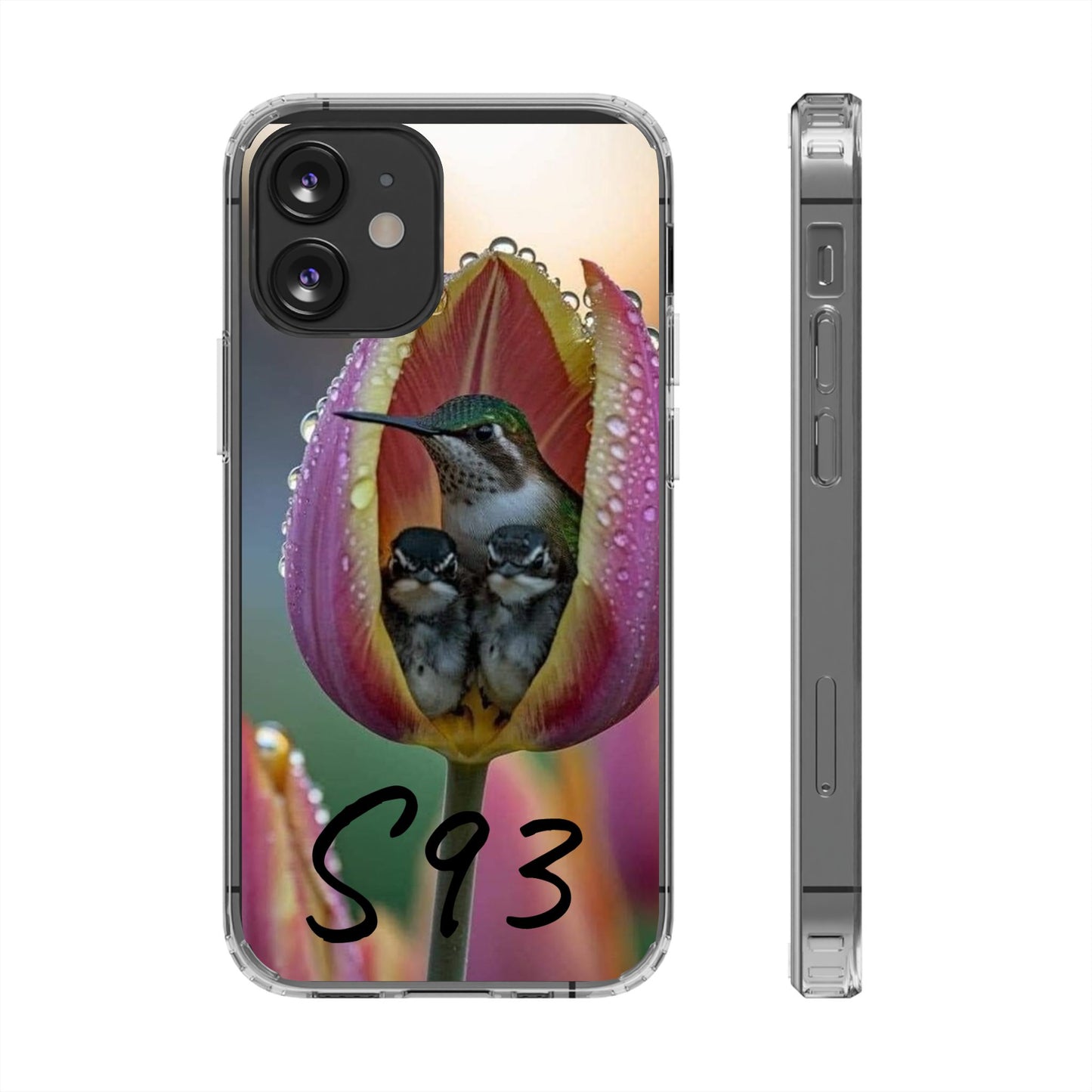 Clear Cases S93