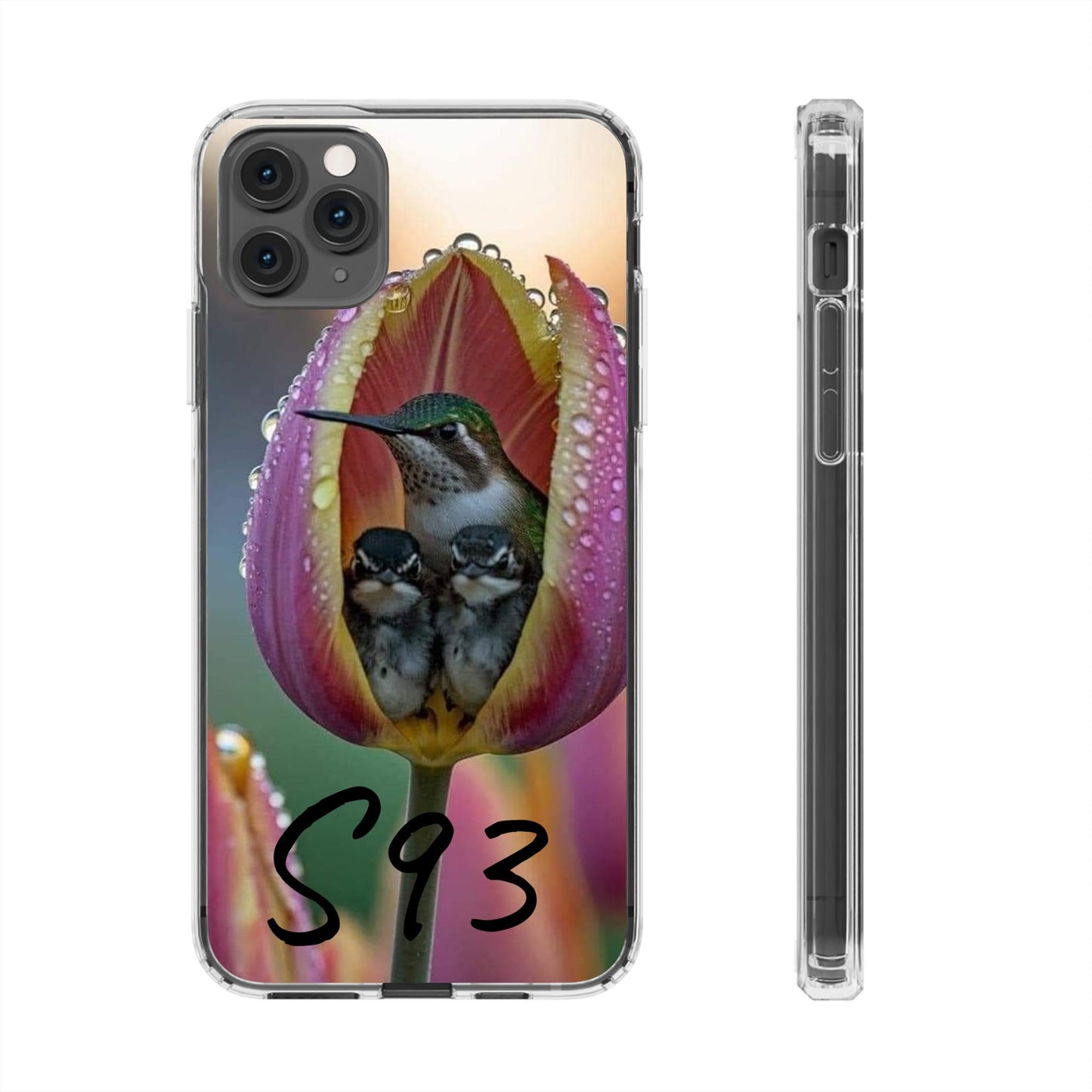 Clear Cases S93