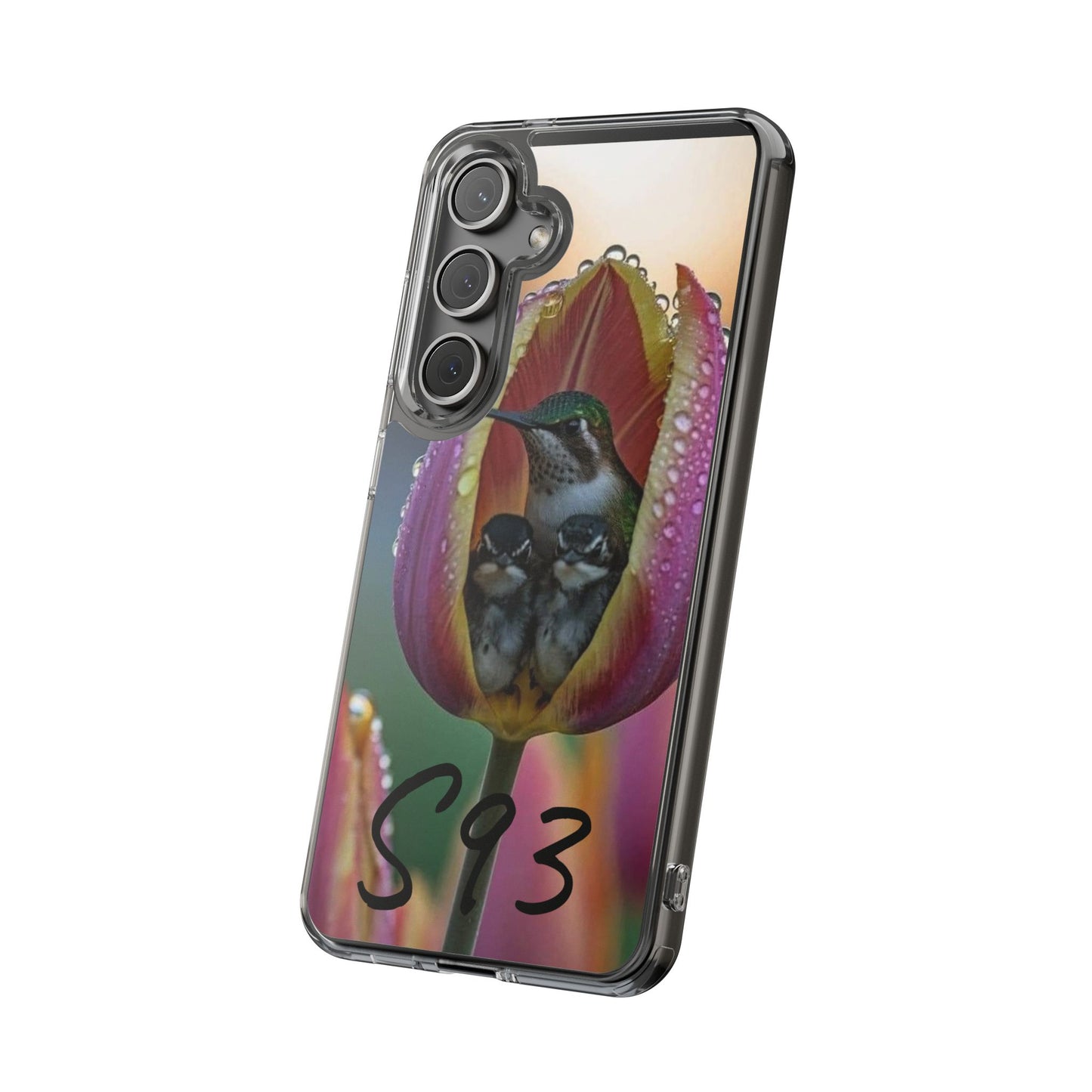 Clear Cases S93
