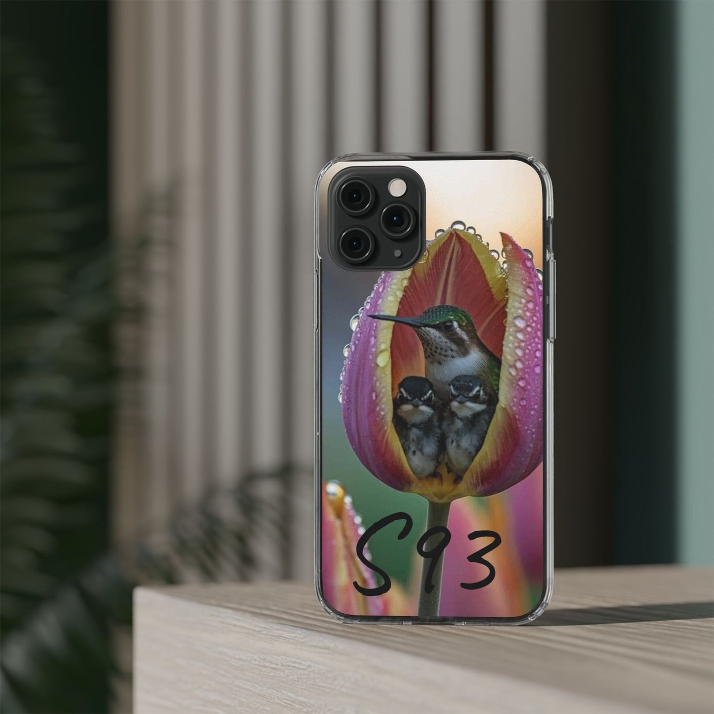 Clear Cases S93