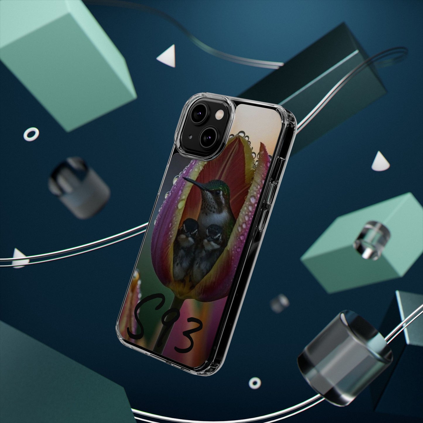 Clear Cases S93