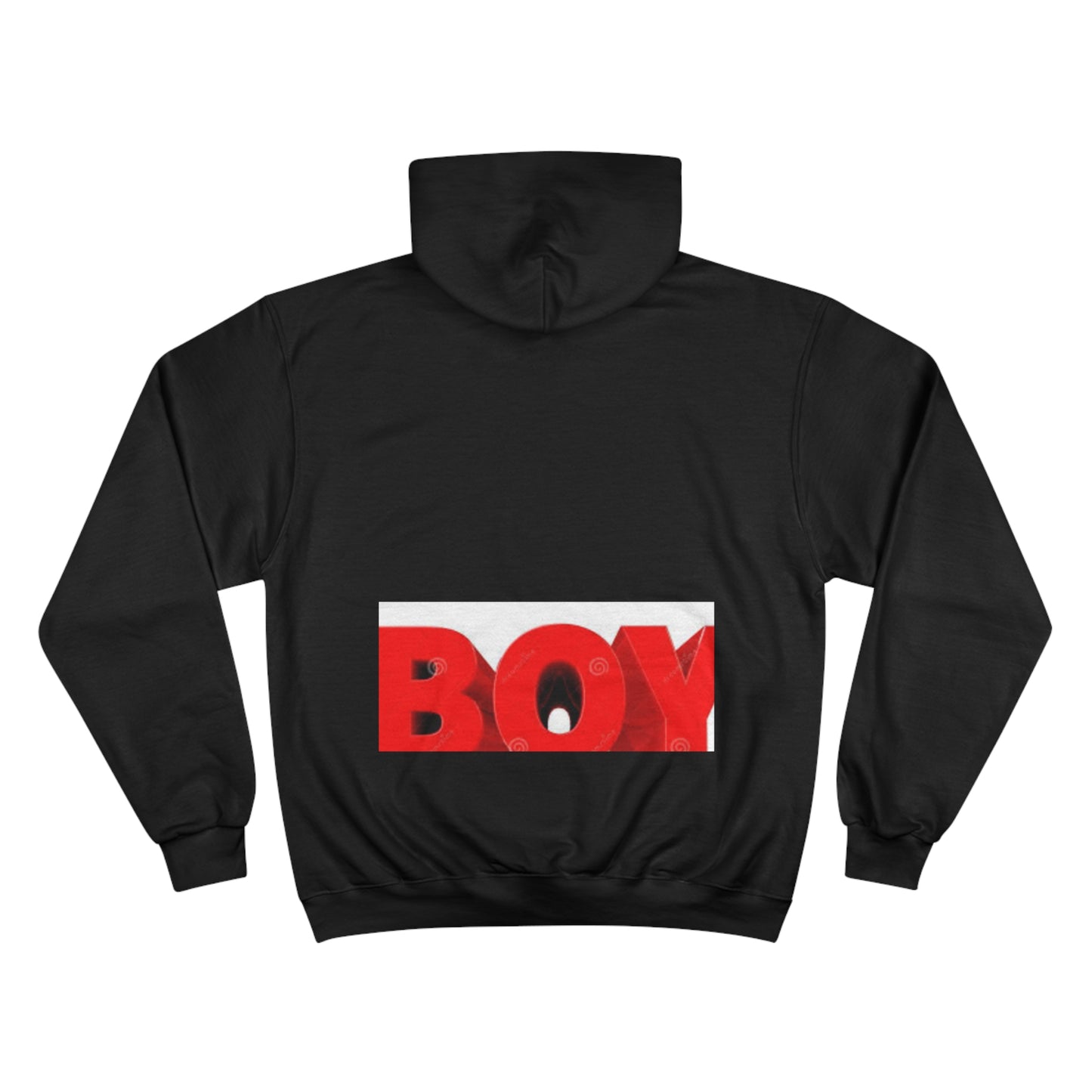 Champion Hoodie s93