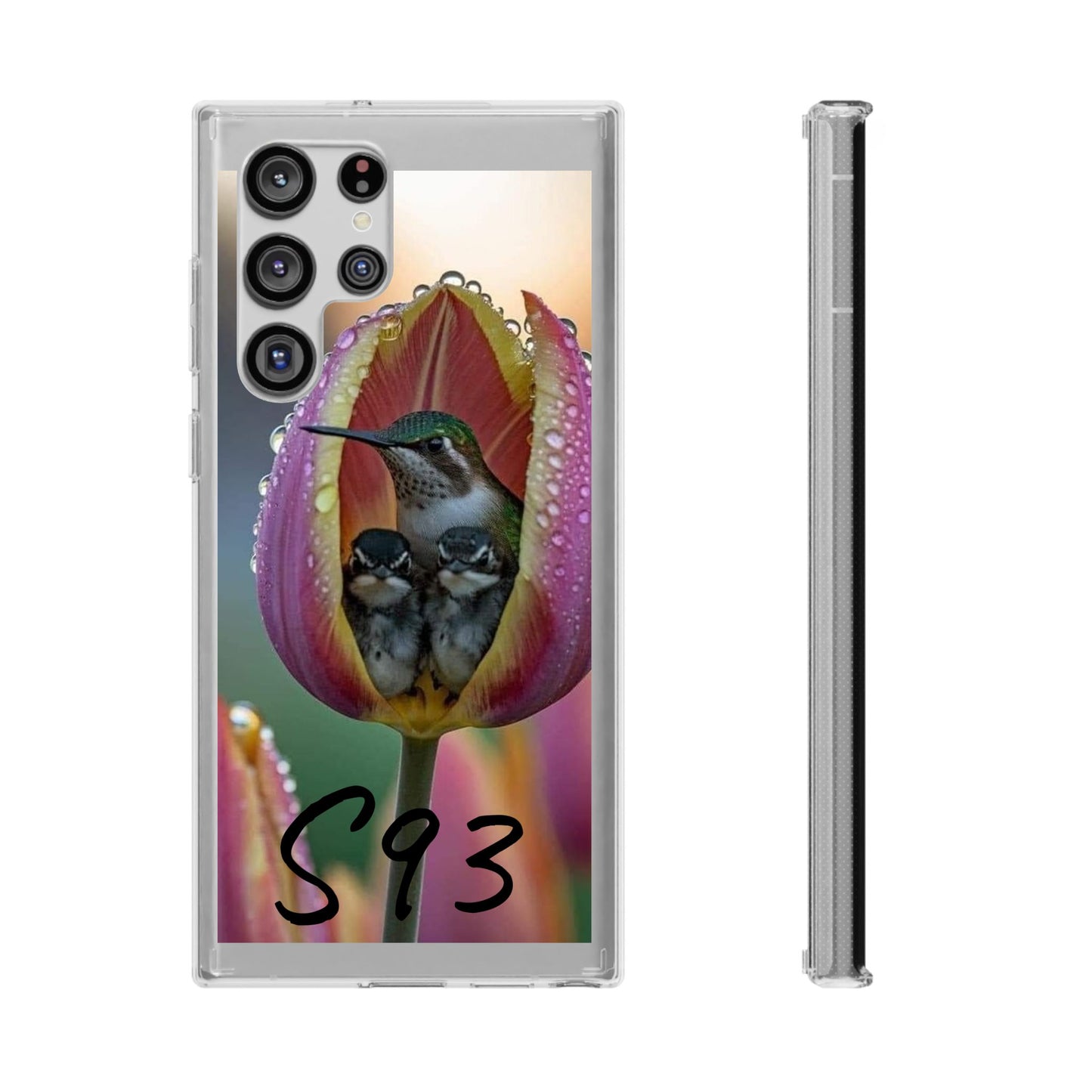 Clear Cases S93