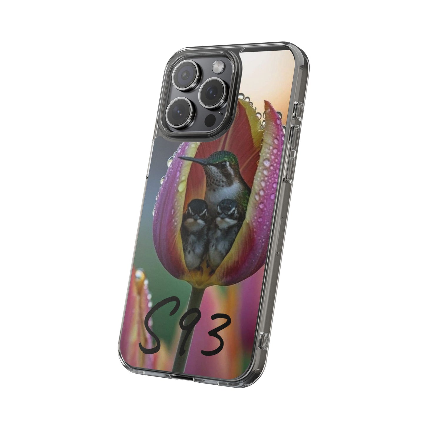 Clear Cases S93